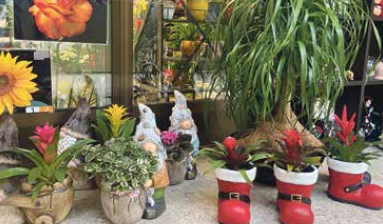 Ideas para regalar estas Navidades sin salir de Salamanca | Imagen 9