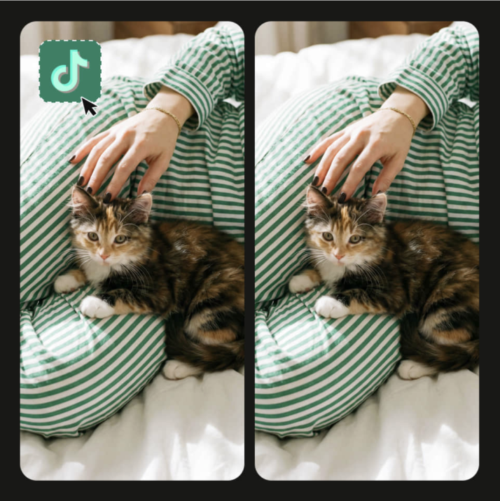 Los 5 mejores removedores de marca de agua para video en 2026 | Imagen 1