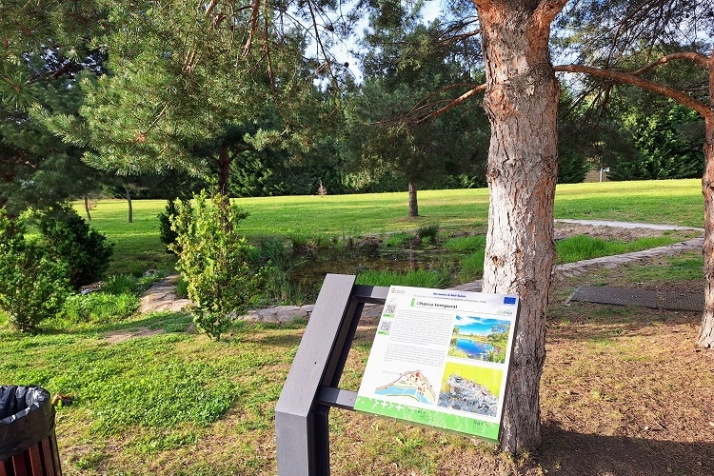 De ideas rana. | Imagen 6