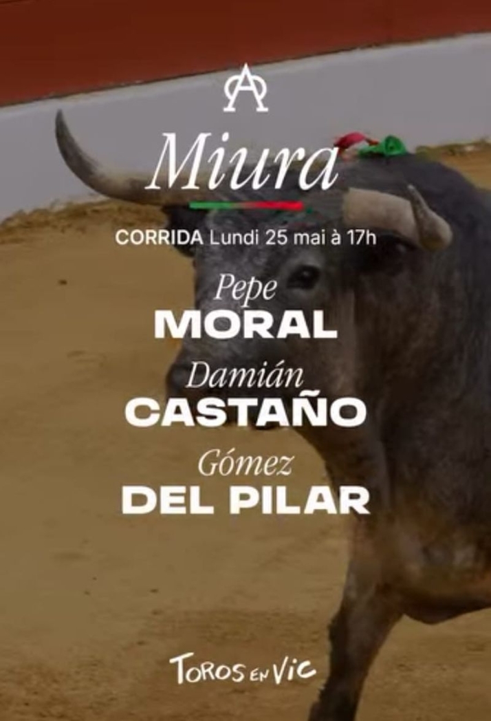 Dami&aacute;n Casta&ntilde;o lidiar&aacute; la hist&oacute;rica corrida de Miura en Vic-Fezensac (Francia) | Imagen 1