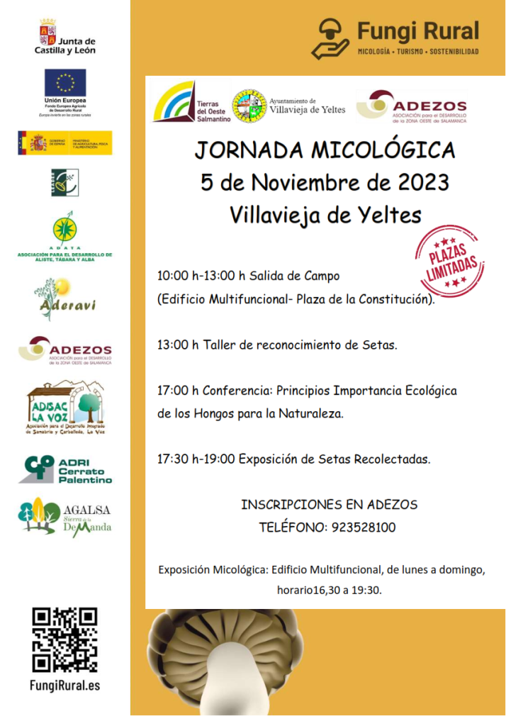 Adezos promueve en Villavieja de Yeltes una jornada de lo m&aacute;s micol&oacute;gica | Imagen 1