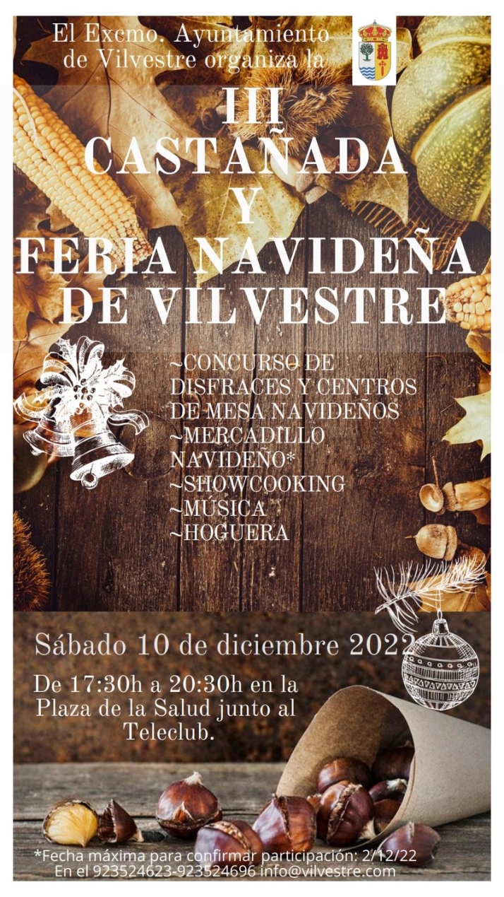 La III Casta&ntilde;ada y la Feria Navide&ntilde;a, pr&oacute;logo de las fiestas navide&ntilde;as en Vilvestre | Imagen 1