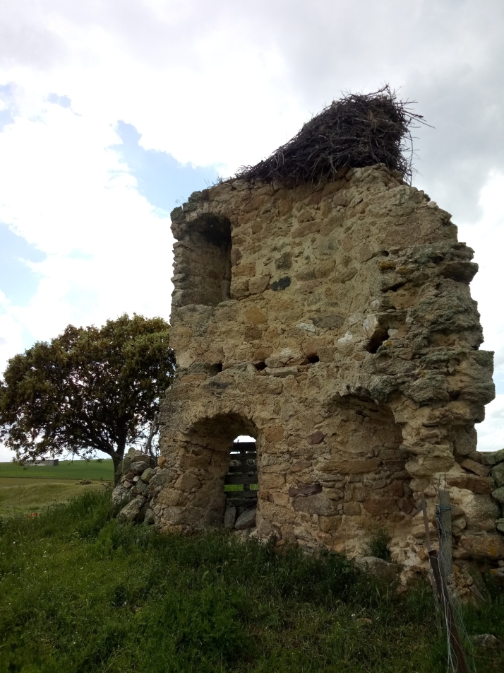 El castillo de Buenamadre, vig&iacute;a olvidado del Campo Charro | Imagen 1