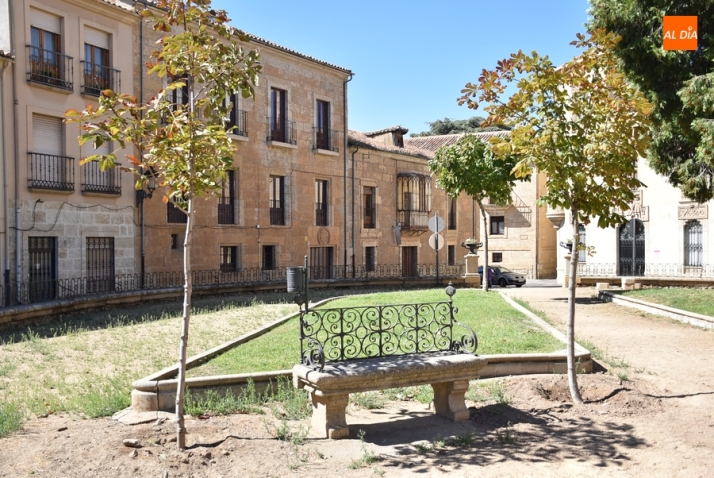 Sustituidos otros dos &aacute;rboles de la Plazuela de San Salvador | Imagen 1