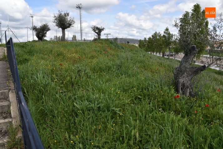 El 3º Día | 7 Abril | Imagen 6