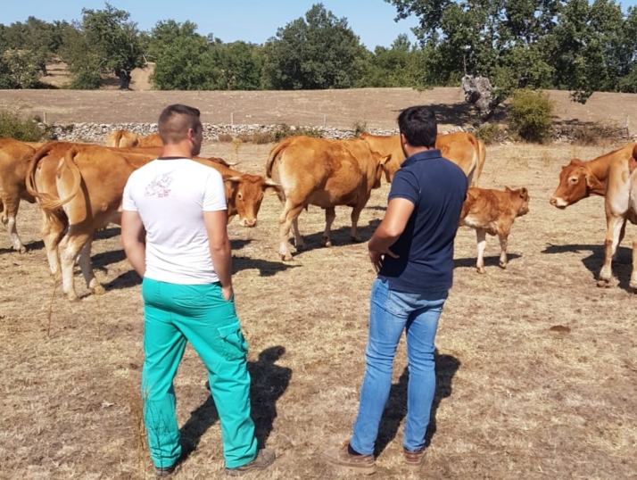 Dehesa Grande reivindica el papel clave del cooperativismo en el futuro del campo salmantino | Imagen 1