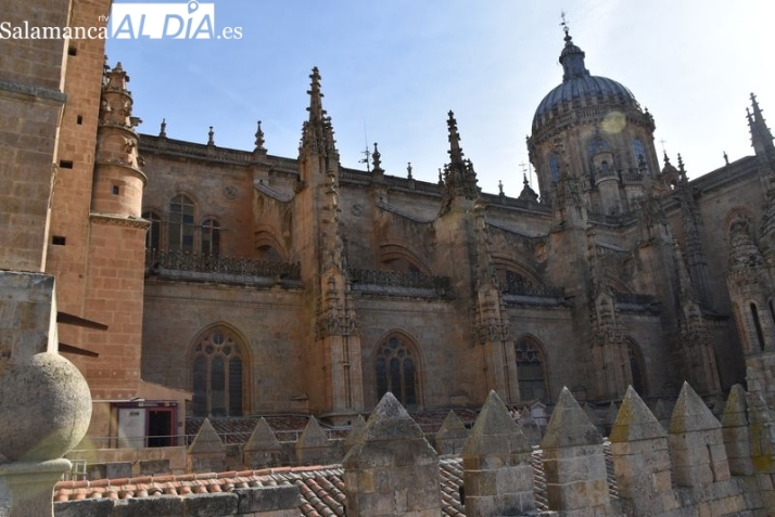 Salamanca vista desde lo m&aacute;s alto: subida a las torres de la Catedral | Imagen 3