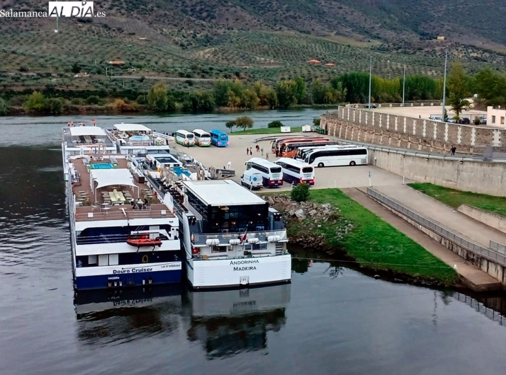 Vega Terr&oacute;n despide la temporada de cruceros 2024 con incrementos en el n&uacute;mero de atraques y de pasajeros | Imagen 1