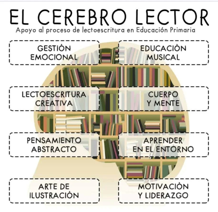 'El cerebro lector', una gu&iacute;a online sobre neurociencia, lectura y creatividad | Imagen 1