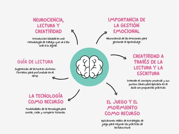 'El cerebro lector', una gu&iacute;a online sobre neurociencia, lectura y creatividad | Imagen 4