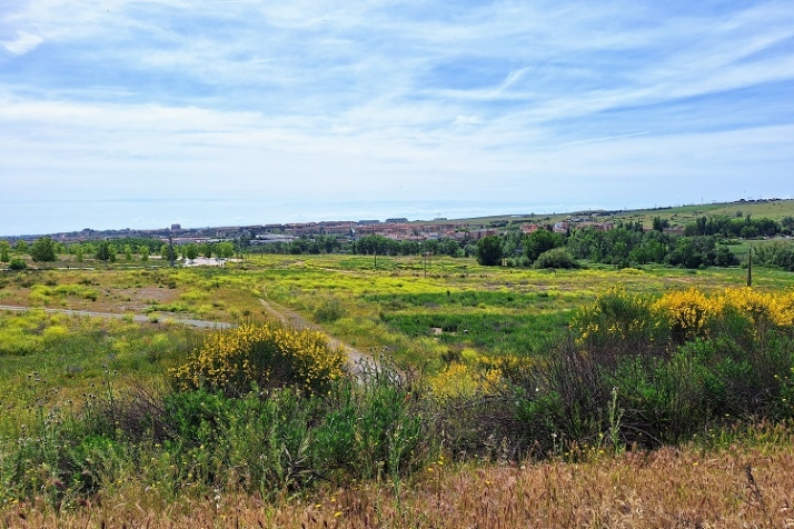 Se acerca el calor. | Imagen 5