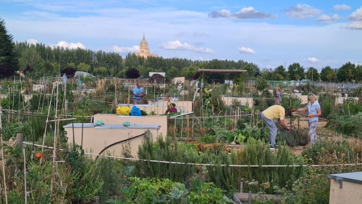 Huertos Urbanos de Salamanca: los frutos m&aacute;s saludables de los fondos FEDER | Imagen 1