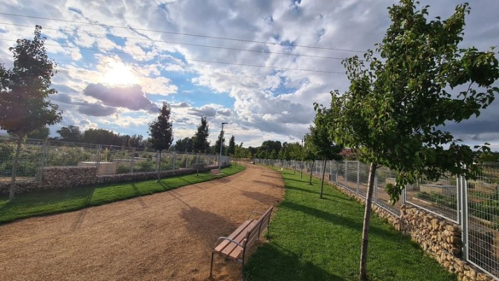 Huertos Urbanos de Salamanca: los frutos m&aacute;s saludables de los fondos FEDER | Imagen 2