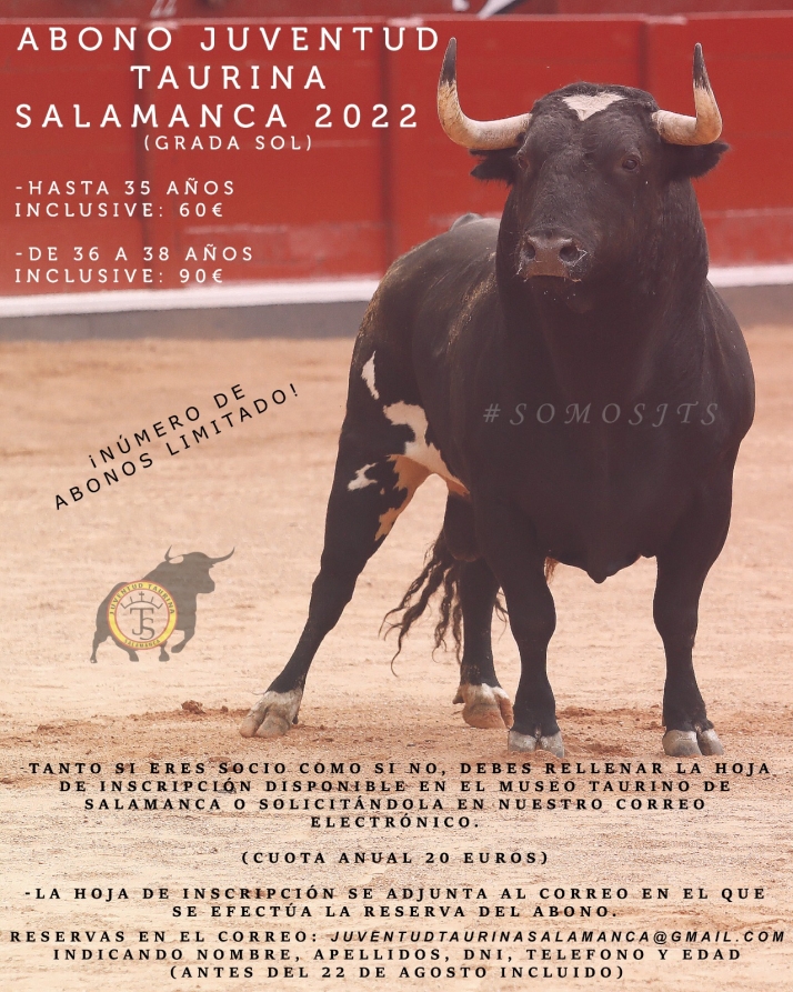 Salen a la venta los abonos en grada de sol para la feria taurina de Salamanca por 60 euros | Imagen 1