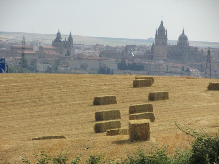As&iacute; son los pulmones verdes de Salamanca: ubicaci&oacute;n y lugares de los que disfrutar en la ciudad   | Imagen 5