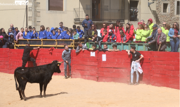 Capea en Yecla de Yeltes: fiestas del Lunes de Aguas