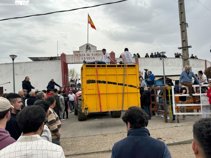 Foto 2 - Bravura, quiebros y emoci&oacute;n en el Toro del Voto de Villor&iacute;a