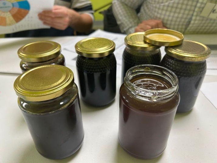 Salamanca, el motor dulce de la región gracias a un sector apícola inquebrantable | Imagen 2