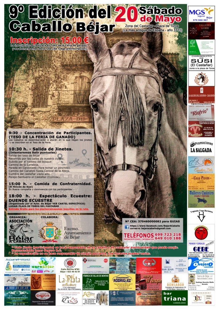 B&eacute;jar prepara el D&iacute;a del Caballo | Imagen 2