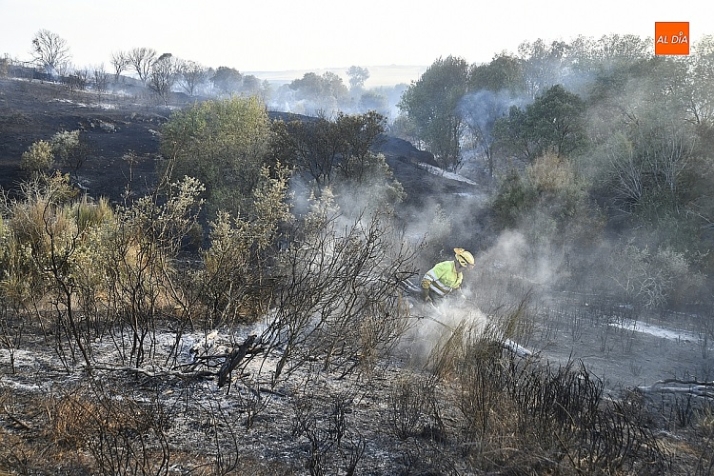 Incompetentes | Imagen 2