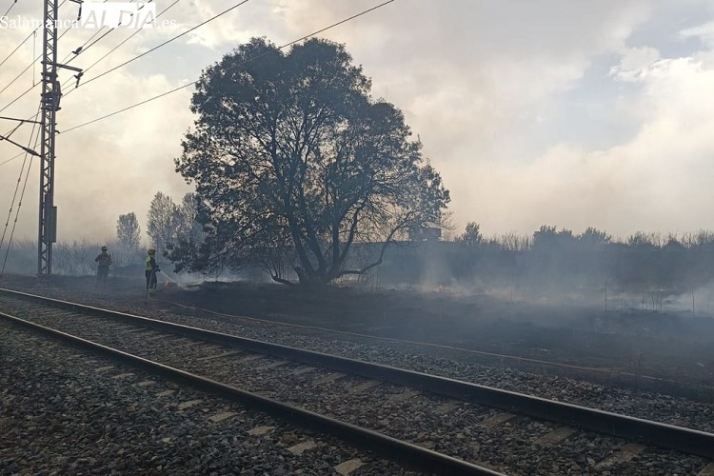 Incompetentes | Imagen 3