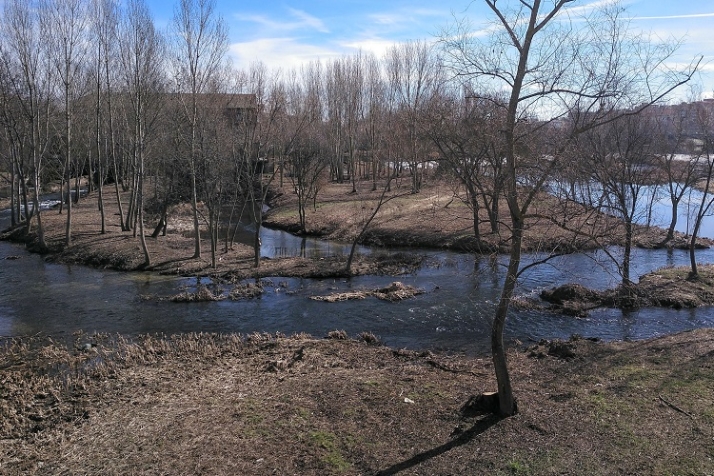 Turistas al Tormes | Imagen 8