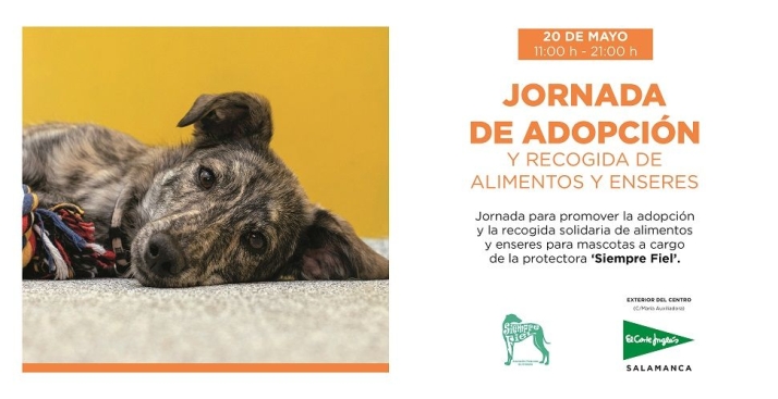 El Corte Ingl&eacute;s acoge este s&aacute;bado una jornada de adopci&oacute;n y recogida de pienso para mascotas | Imagen 1