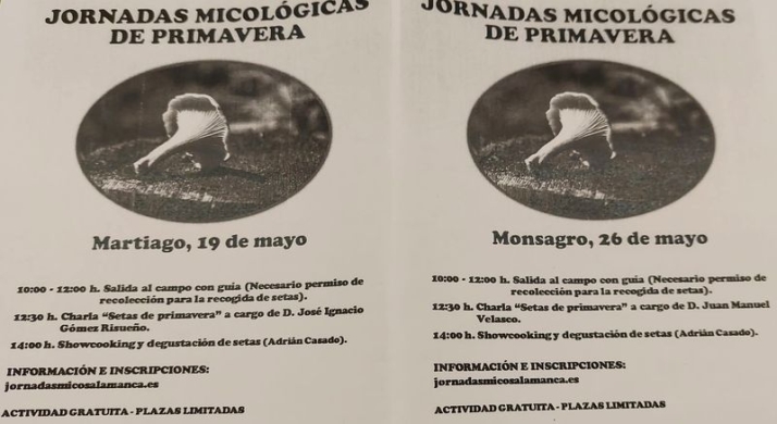 Excursiones, talleres y demostraciones gastron&oacute;micas gratuitas en Martiago y Monsagro | Imagen 1