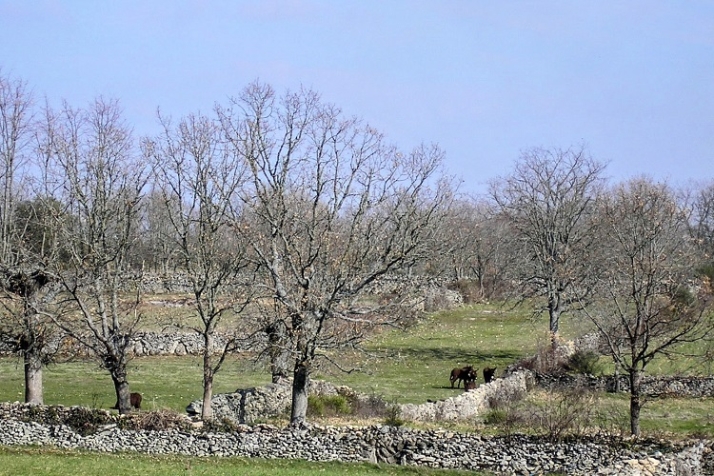 ¿Cuenta la gente? | Imagen 2