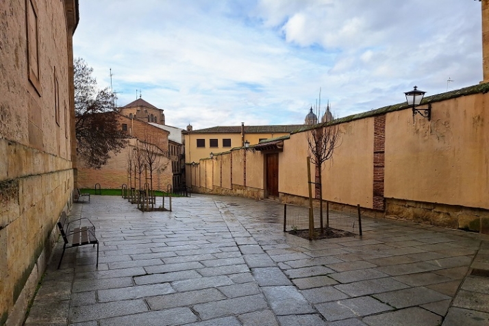 Ahora toca renaturalizar | Imagen 1