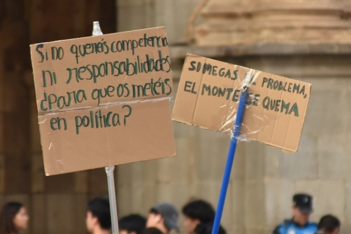 Incompetentes | Imagen 1