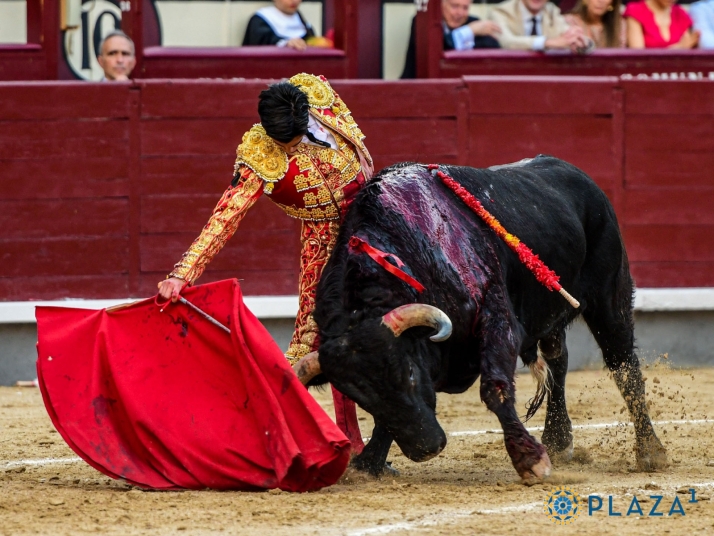 Marco P&eacute;rez: &quot;Ojal&aacute; pueda ser figura del toreo y llevar el nombre de Salamanca donde merece, a lo m&aacute;s alto&quot; | Imagen 3