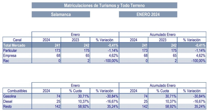 Salamanca rompe la tendencia nacional: as&iacute; ha arrancado el a&ntilde;o la venta de coches nuevos | Imagen 1