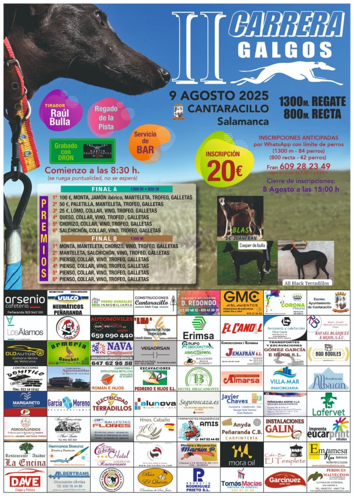 La velocidad vuelve a Cantaracillo: todo listo para la segunda gran carrera de galgos del 9 de agosto | Imagen 1