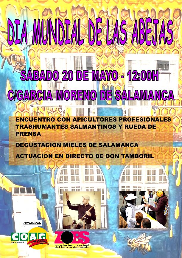 As&iacute; se celebra este s&aacute;bado el D&iacute;a Mundial de las Abejas en Salamanca | Imagen 1