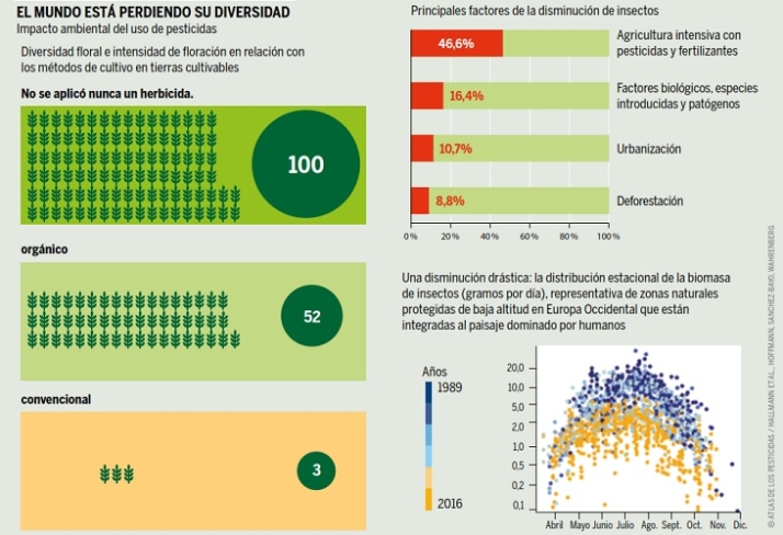 Alimentaci&oacute;n ali&ntilde;ada | Imagen 7