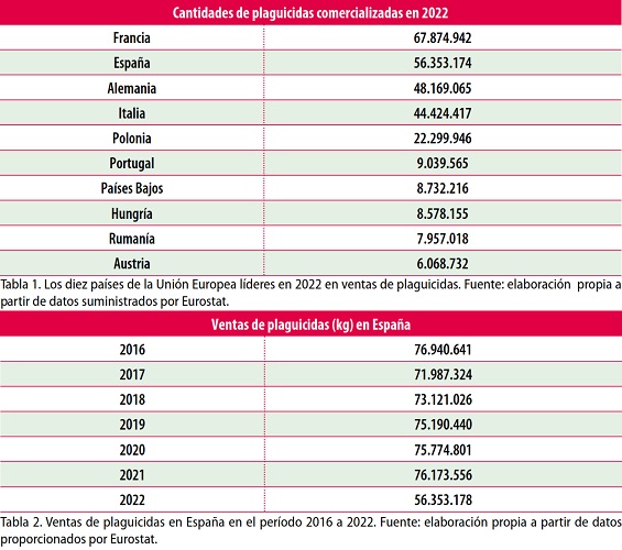 Alimentaci&oacute;n ali&ntilde;ada | Imagen 2