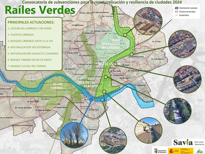Suma y sigue la verde metamorfosis | Imagen 4