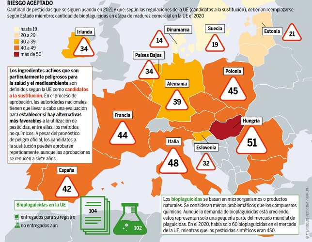 Alimentaci&oacute;n ali&ntilde;ada | Imagen 4