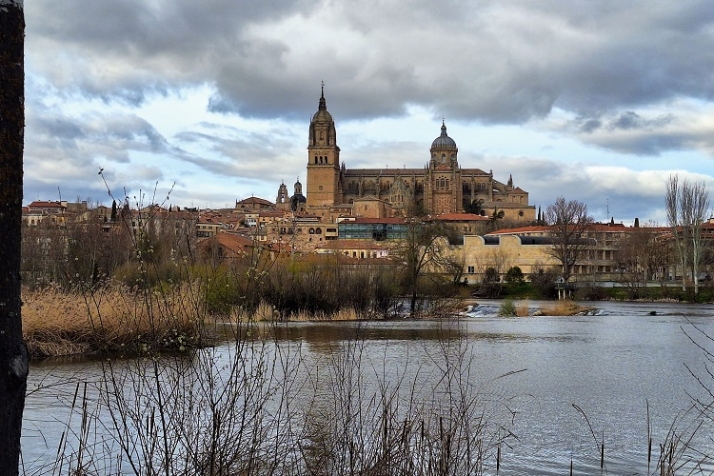 Turistas al Tormes | Imagen 6