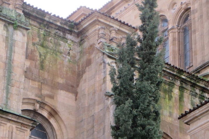 Aguado patrimonio monumental | Imagen 7