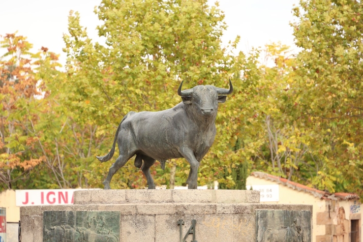 A la sombra de la piedra dorada: un viaje al alma oculta de Salamanca | Imagen 29