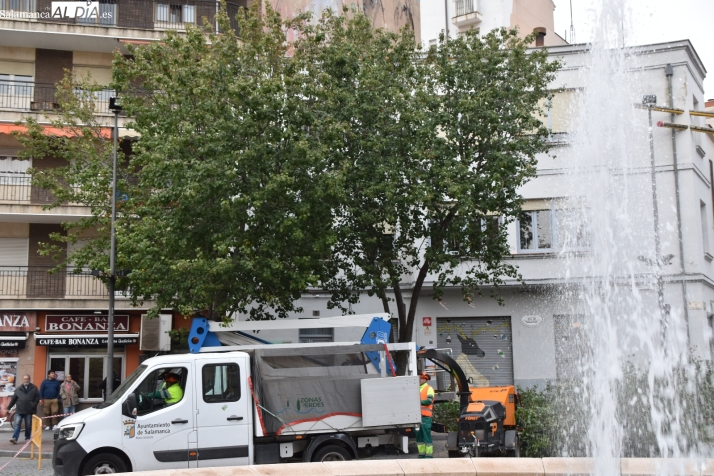 Tensión en la plaza del Oeste y un detenido por las protestas vecinales ante la tala de árboles | FOTOS: Vanesa Martins