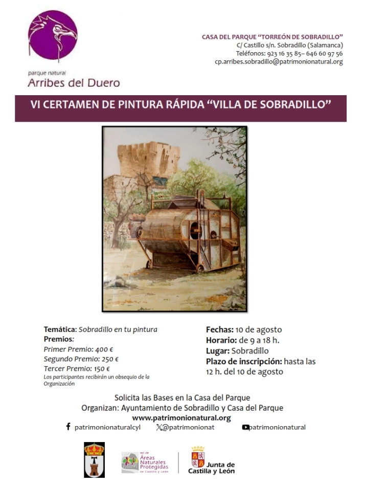 Convocado el VI Certamen de pintura r&aacute;pida &lsquo;Villa de Sobradillo&rsquo; | Imagen 1