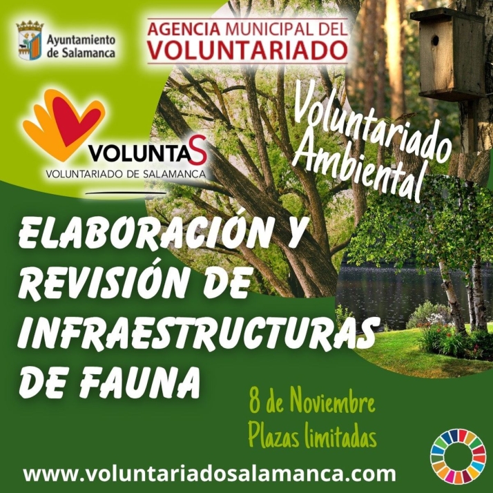 Salamanca busca voluntarios para construir y revisar refugios para la fauna en la ribera del Tormes | Imagen 1