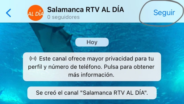 SALAMANCArtv AL D&Iacute;A tiene canal de WhatsApp: s&iacute;guenos para enterarte de todo lo que ocurre en Salamanca  | Imagen 1