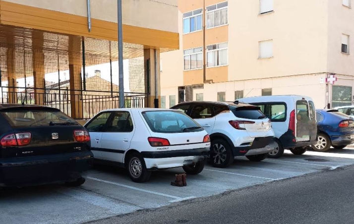 1Foto: Esperando de forma paciente al due&ntilde;o | Imagen 1