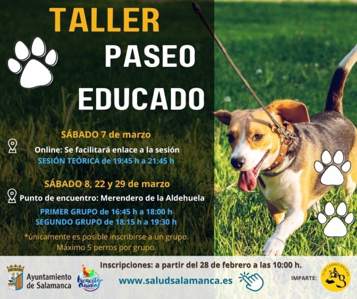 &iquest;Quieres educar a tu perro? Este nuevo curso que habr&aacute; en Salamanca te interesa | Imagen 1