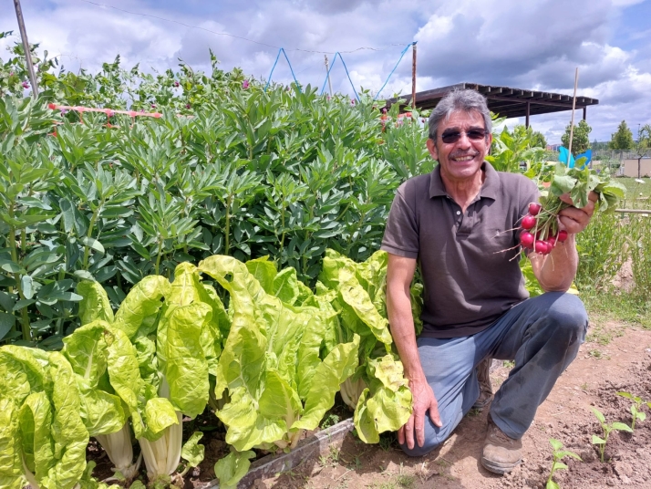 Antonio Ovejero, cuatro a&ntilde;os de experiencia en los huertos urbanos de Salamanca: &quot;Haces amigos. Somos muy generosos unos con otros&quot;  | Imagen 1