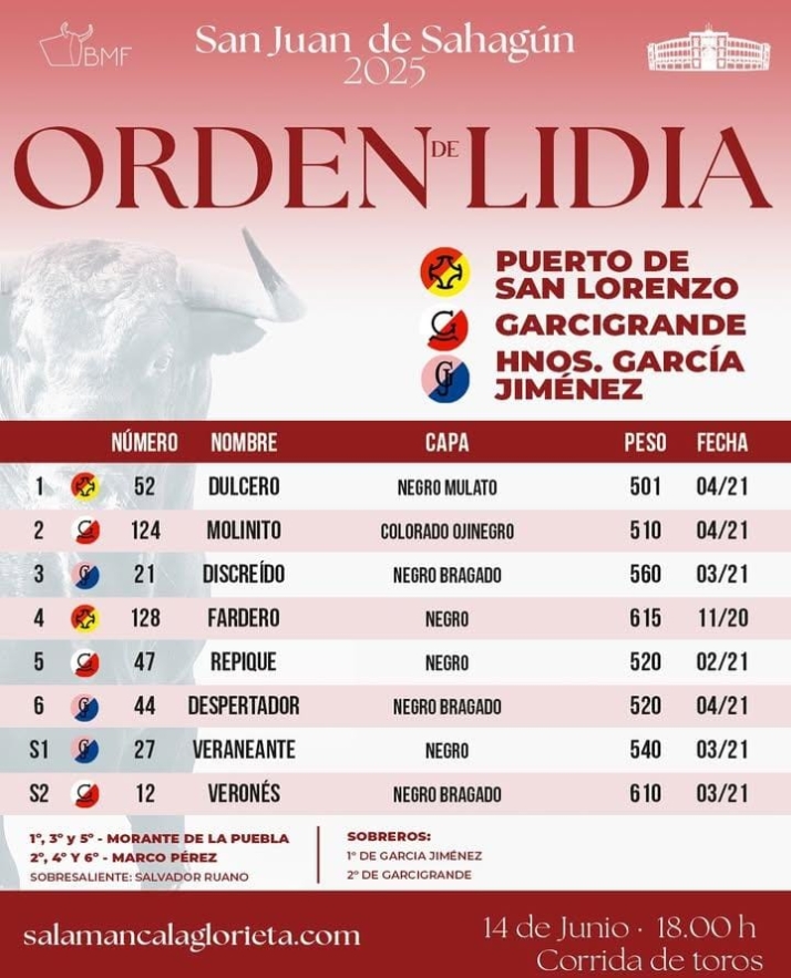 'Molinito', de Garcigrande, el toro del debut de Marco P&eacute;rez en Salamanca  | Imagen 1